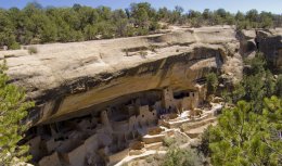 Mesa Verde nationwide Park's Ancestral Puebloan cliff dwellings