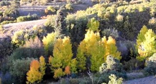 images: Ten most useful places to see Colorado fall color