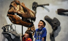 The Denver Museum of Nature & research, among Colorado's preferred family attractions